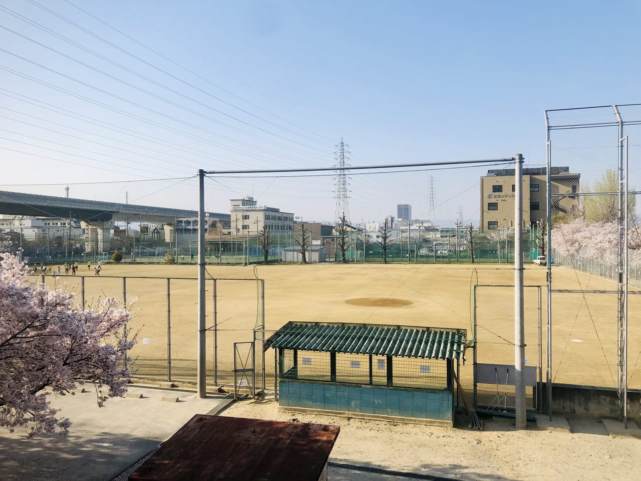 三栖 公園 野球 場