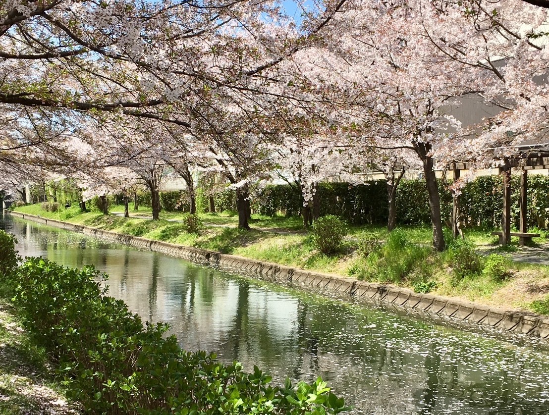 宇治川派流