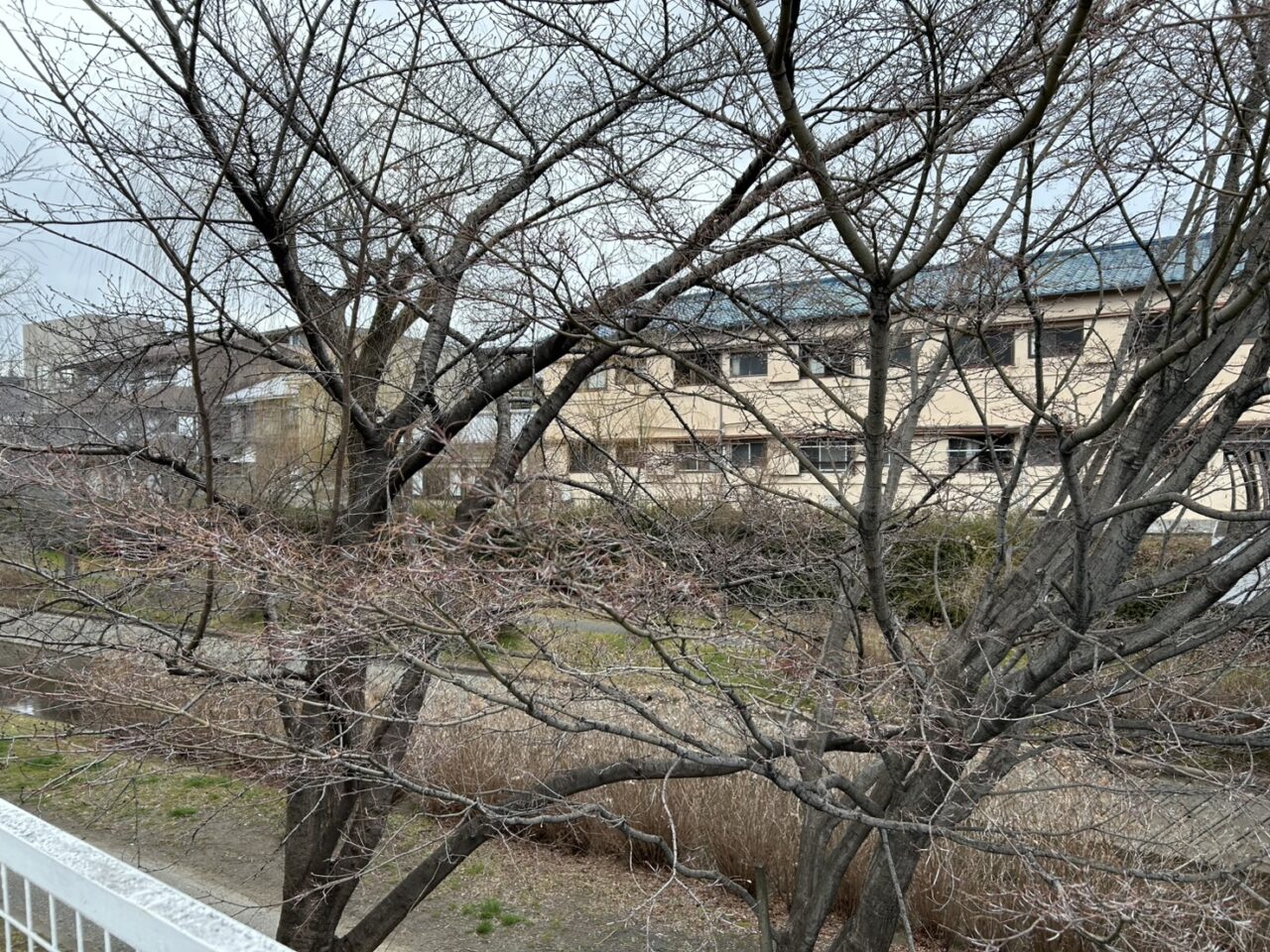 宇治川派流