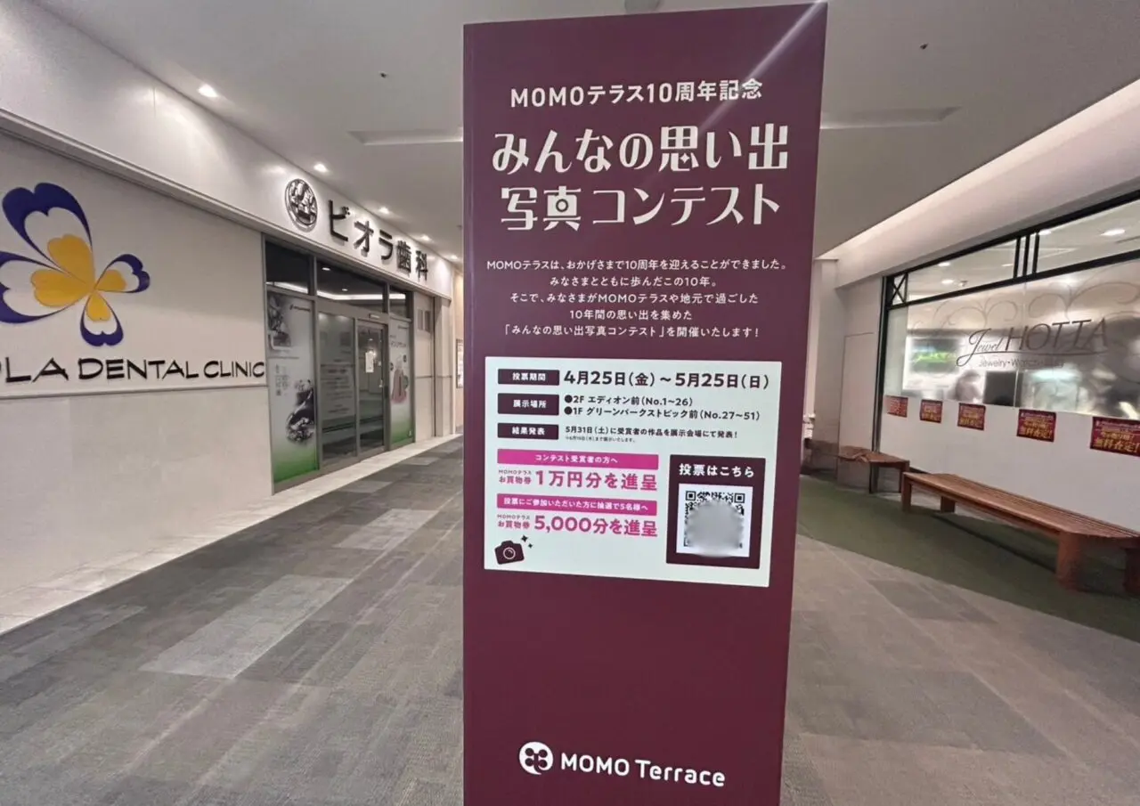MOMOテラス