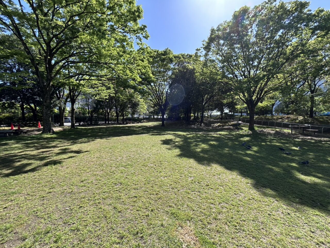伏見港公園