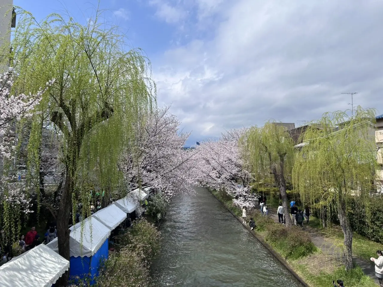 宇治川派流