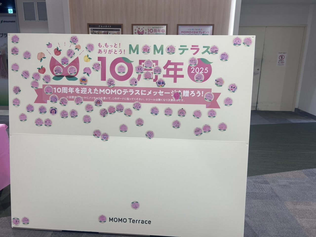 MOMOテラス