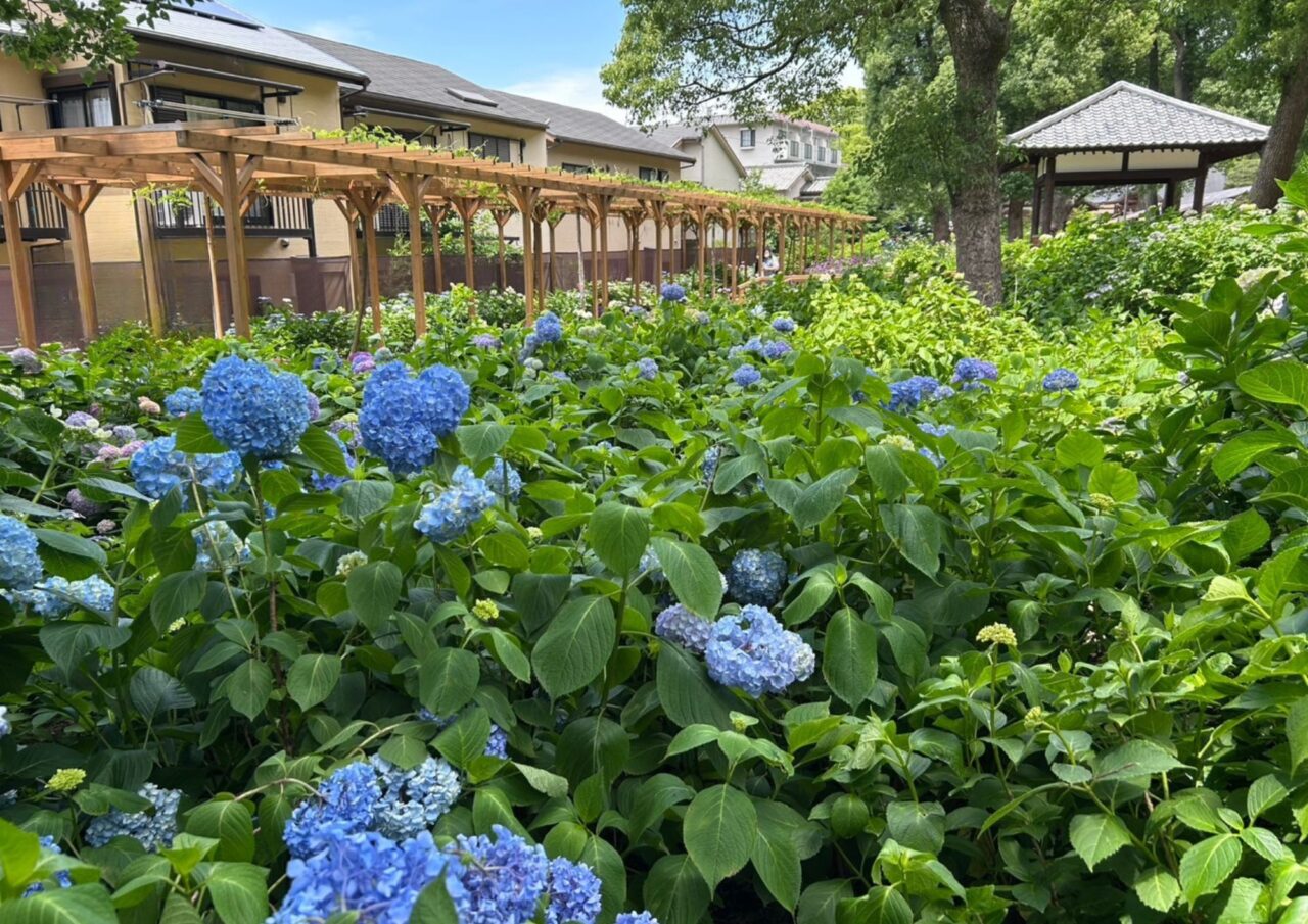 藤森神社