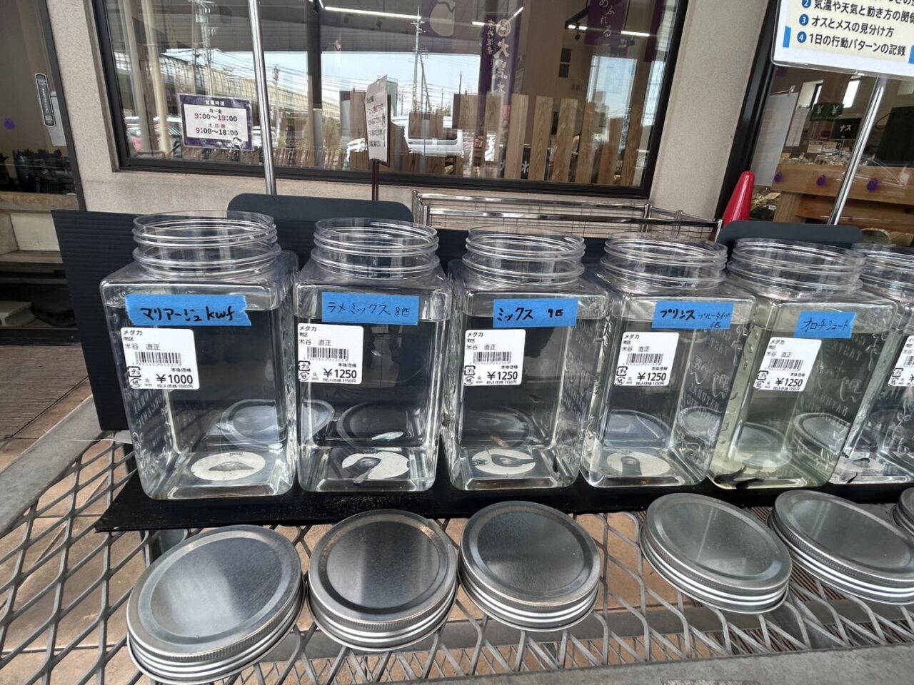 じねんと市場