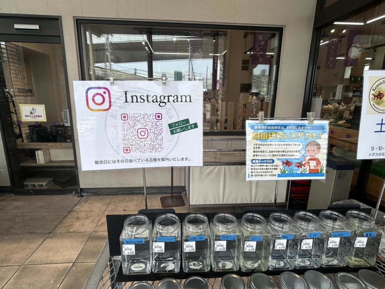 じねんと市場