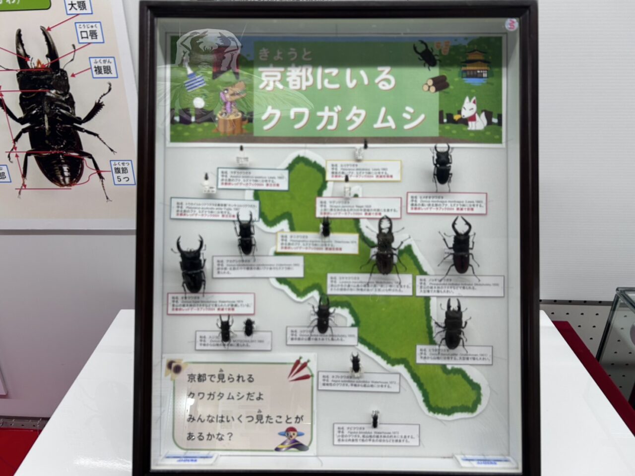 京都市青少年科学センター