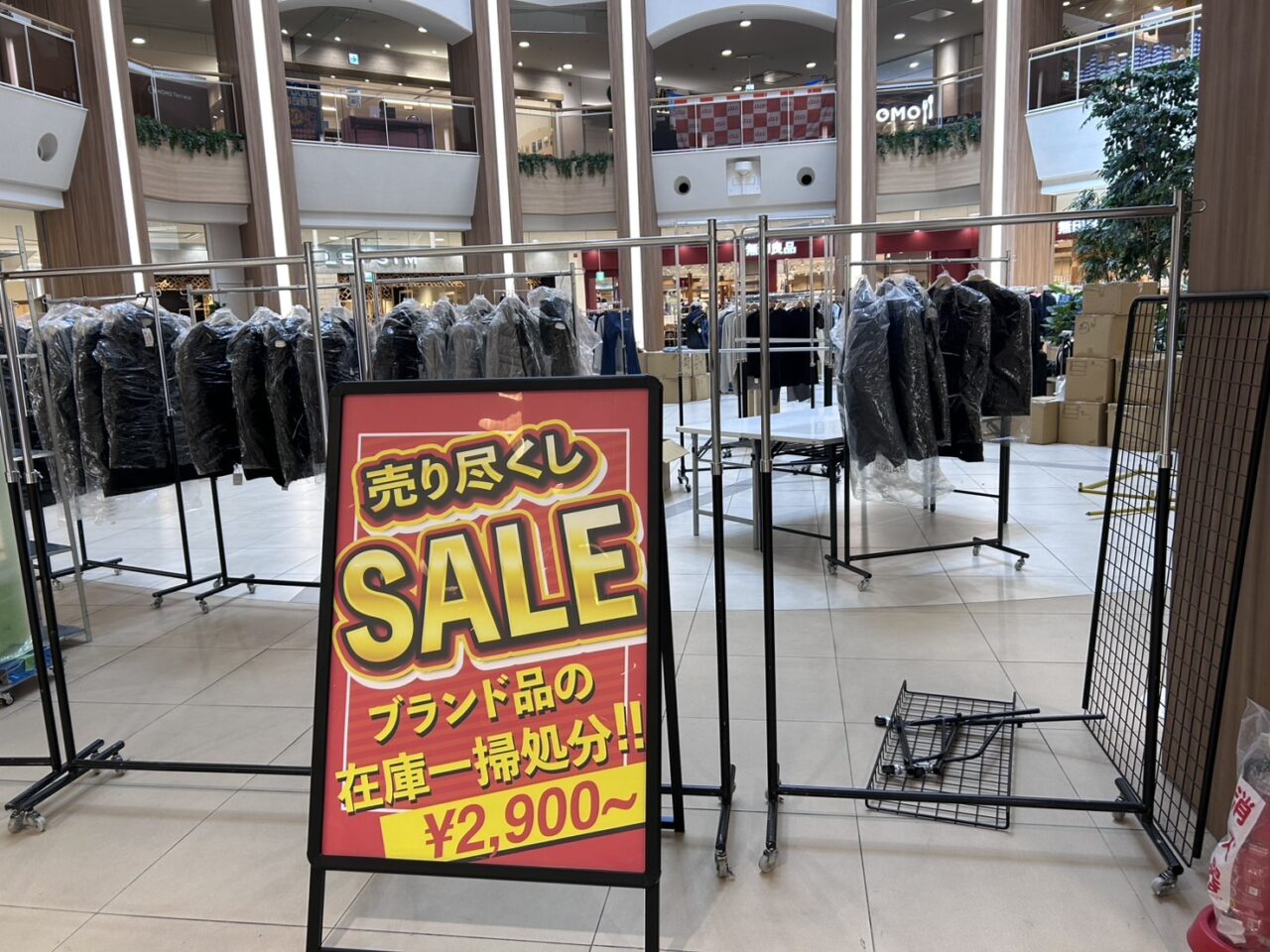 MOMOテラス