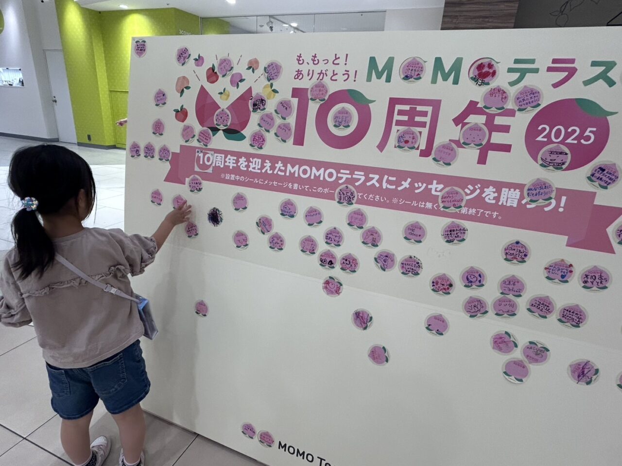 MOMOテラス