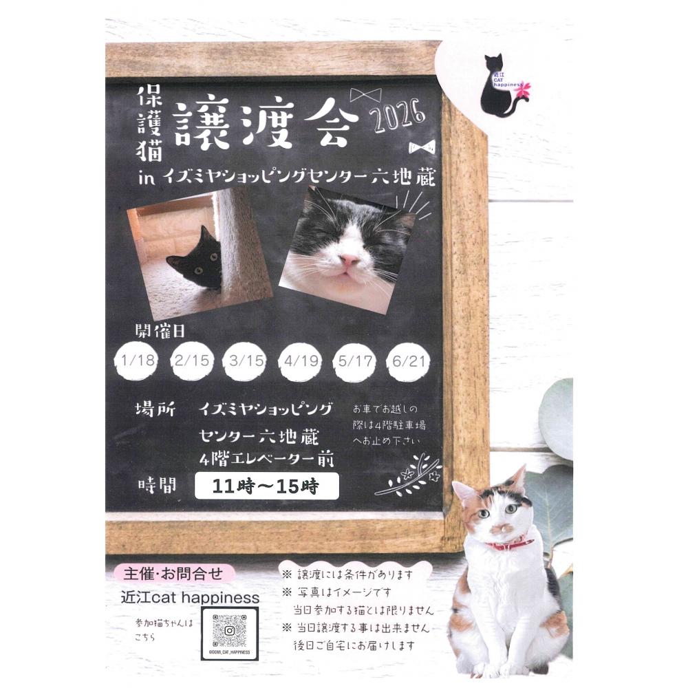 2026年 保護猫譲渡会のご案内。【イズミヤショッピングセンター六地蔵