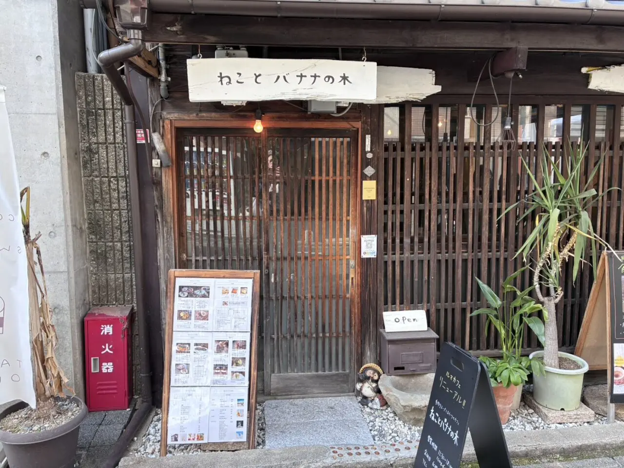 ねことバナナの木