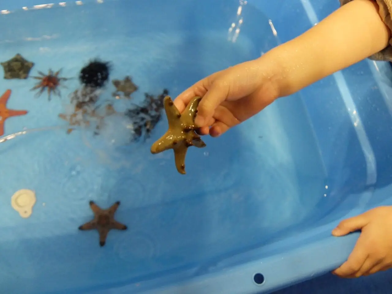 環境フェスティバル