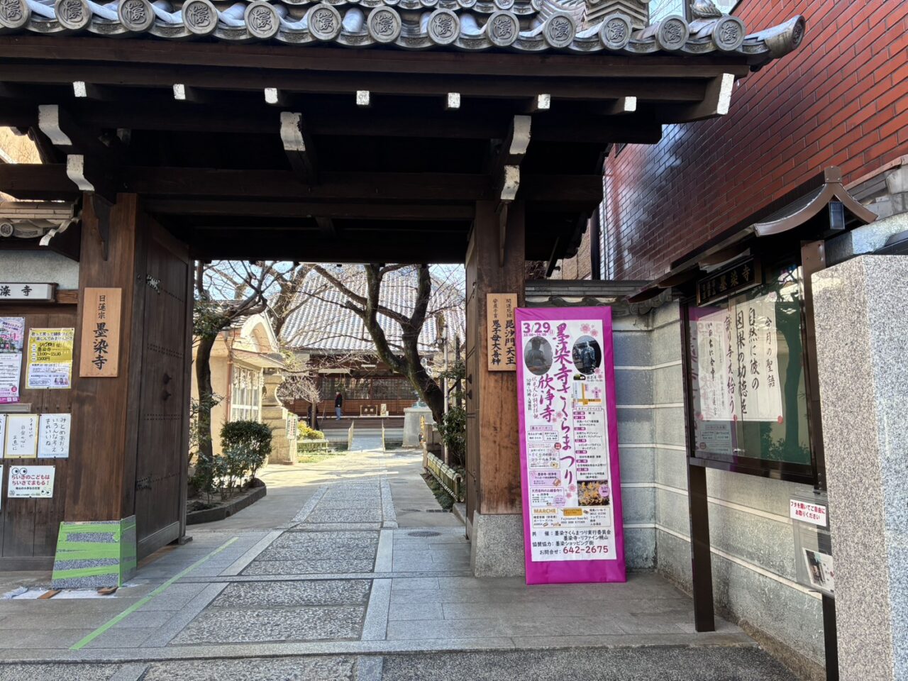 墨染さくらまつり