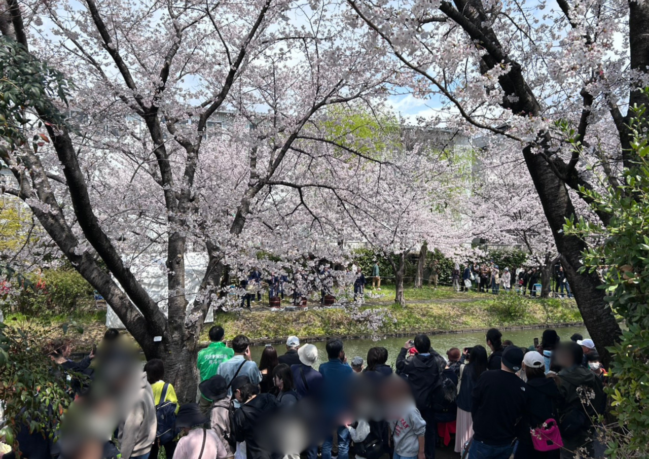 桜まつり