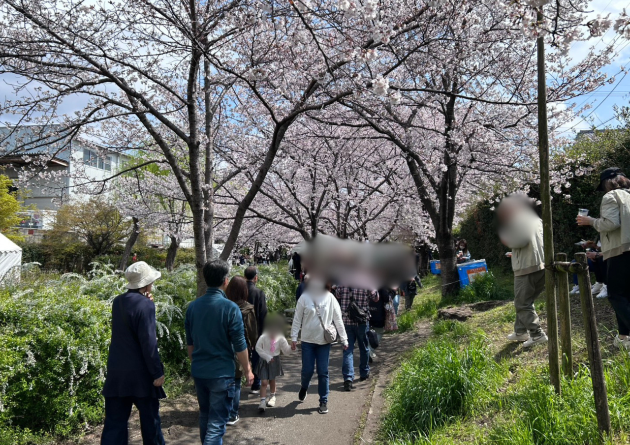 桜まつり