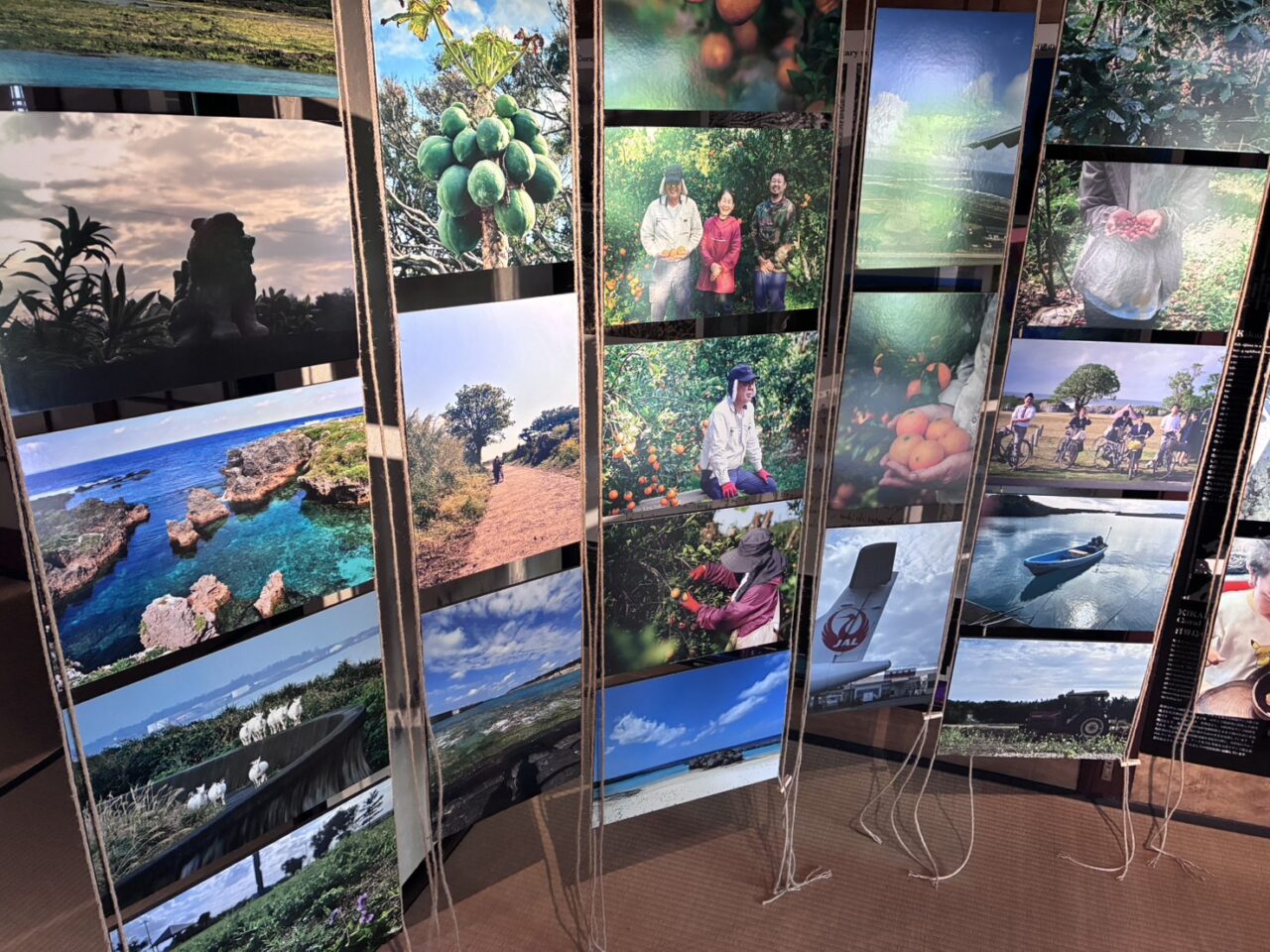 伏見港・珊瑚庵