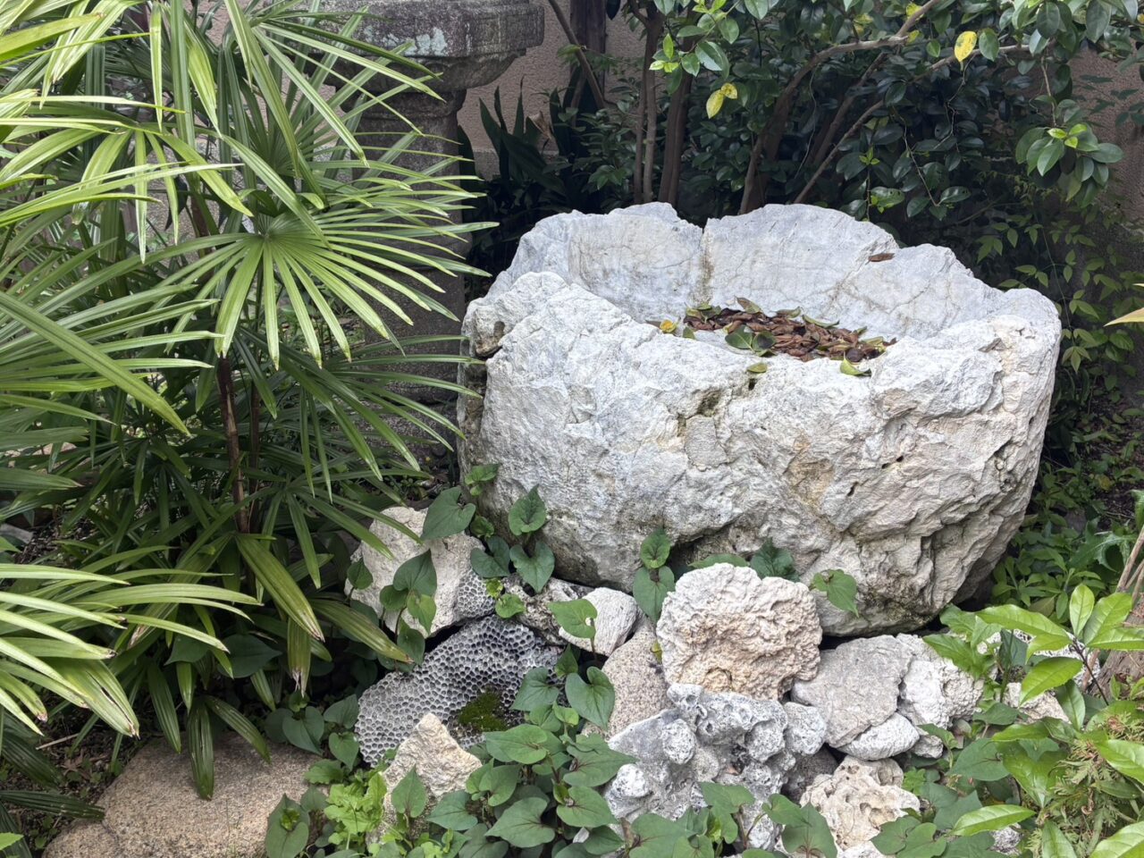 伏見港・珊瑚庵