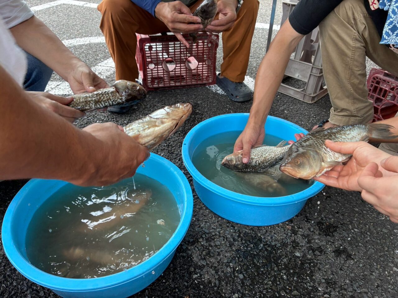 鮒ずしワークショップ