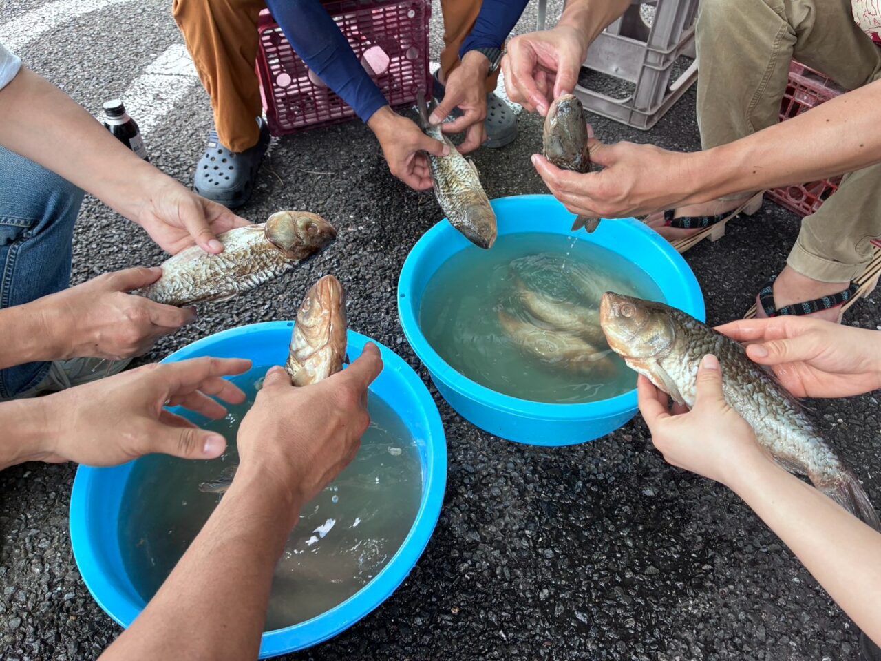 鮒ずしワークショップ