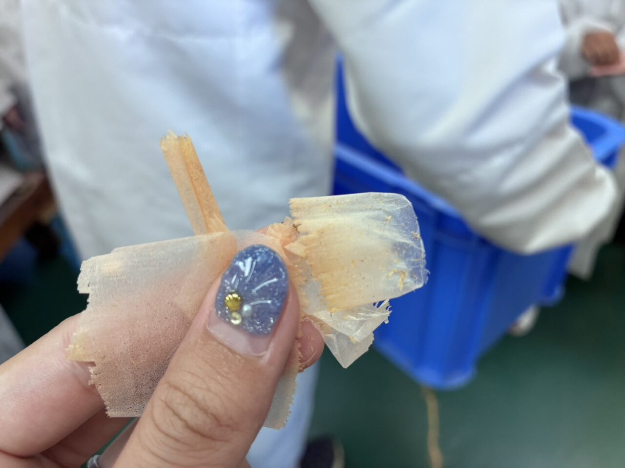 森野義