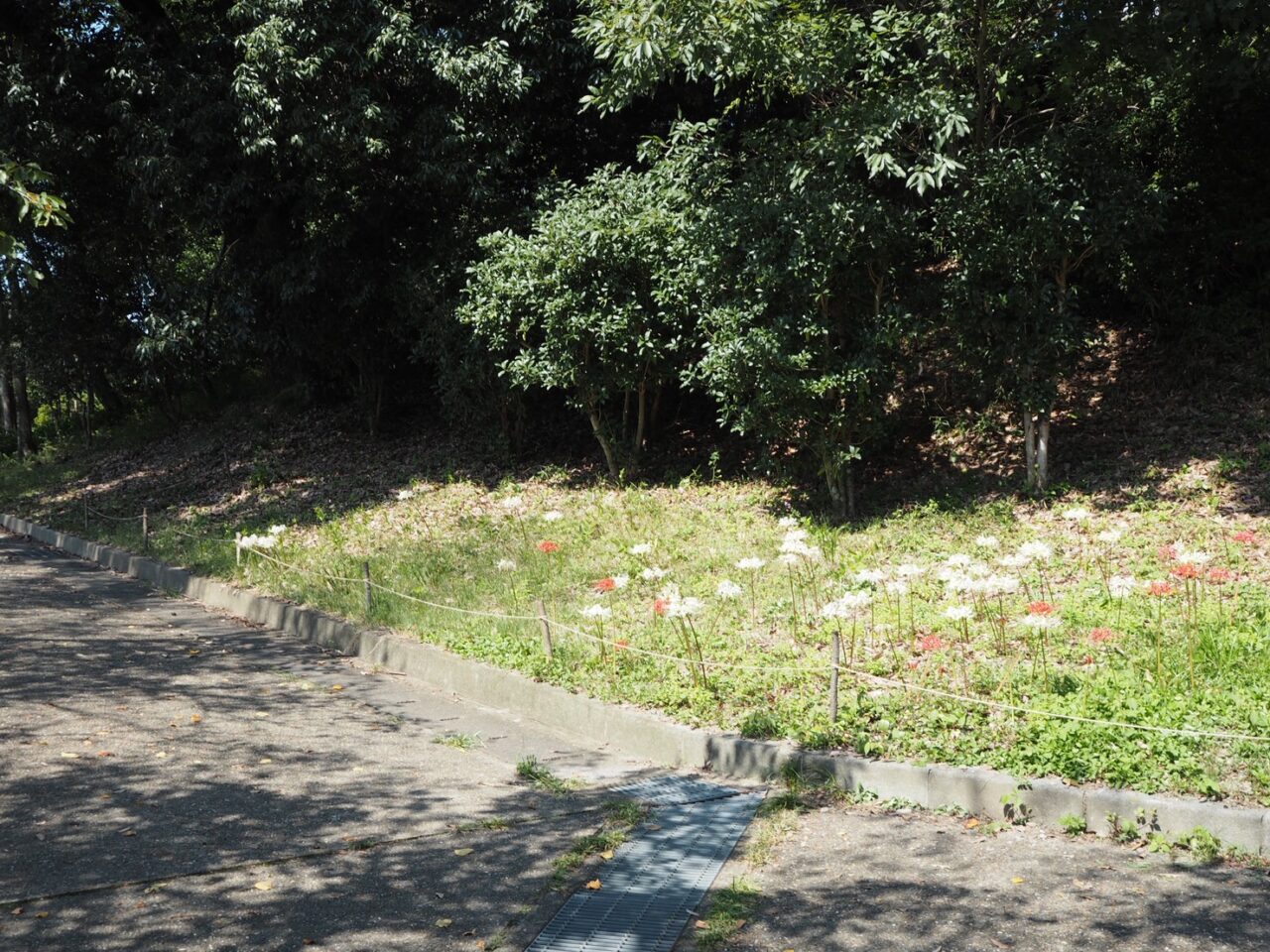 伏見北堀公園