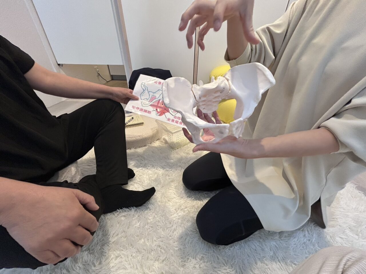 フェムエール