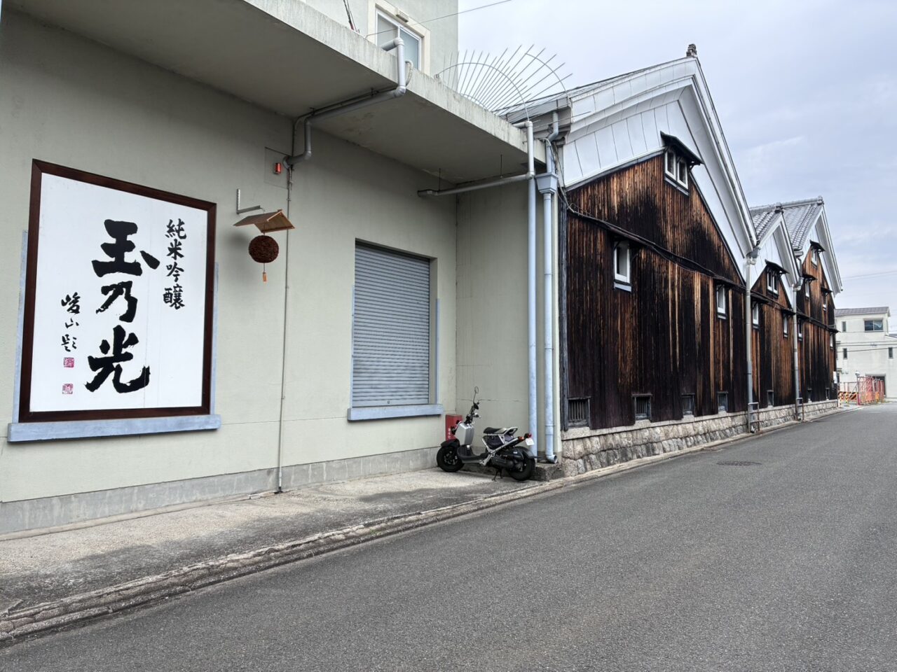玉乃光