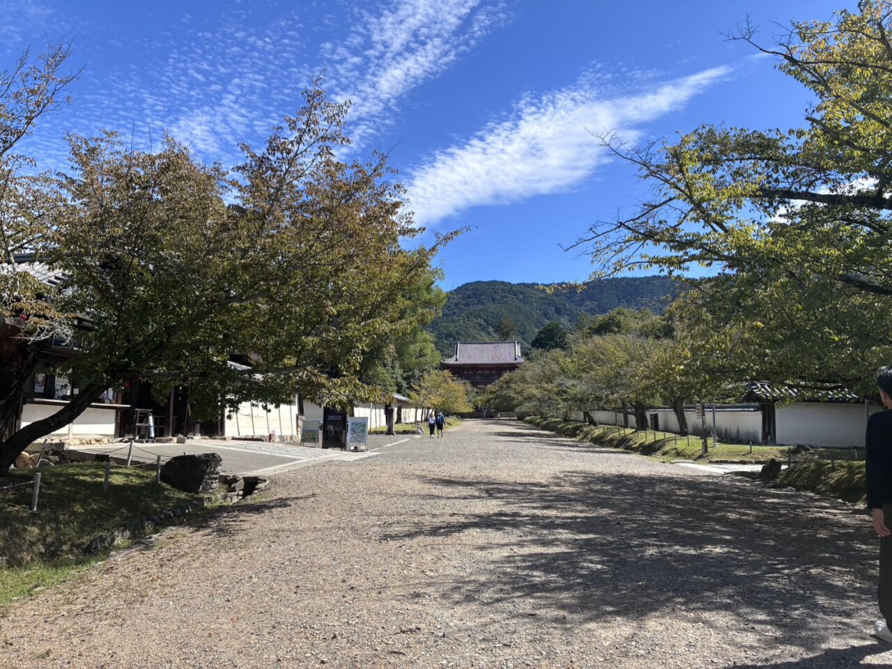醍醐寺